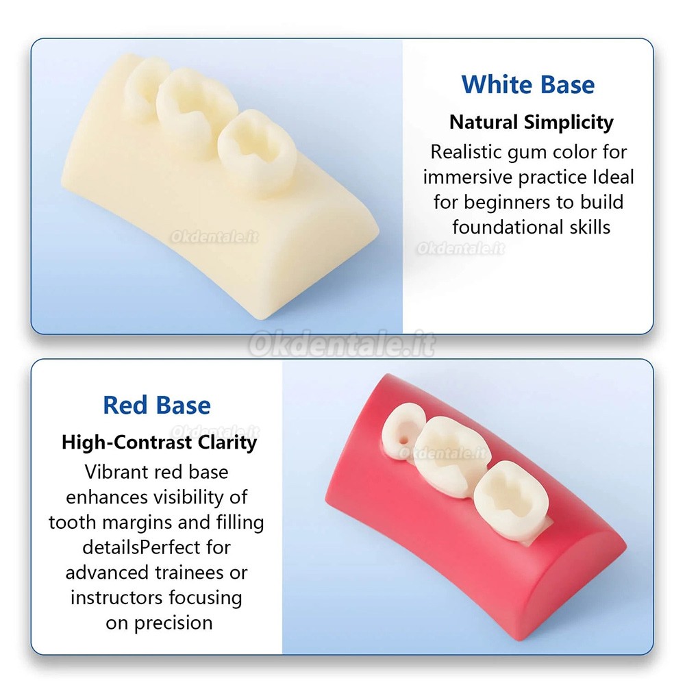Blocco di esercizi per intarsi dentali, otturazione in resina composita